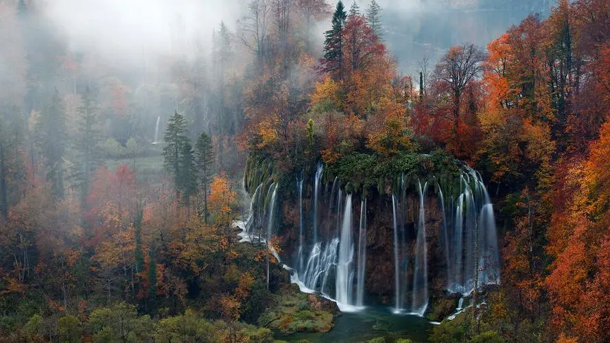 智能系统智慧智慧